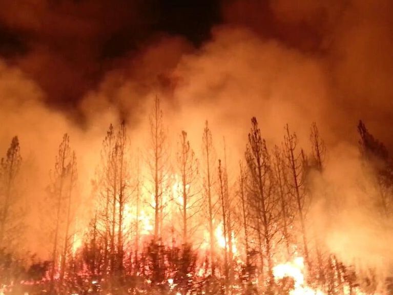 Incêndios florestais: Poderá a floresta ser sustentável?