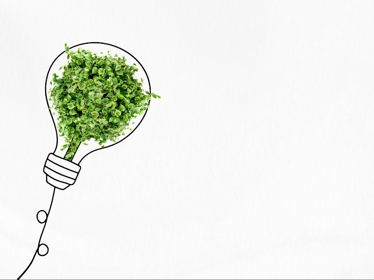 Desenhar Futuros Regenerativos: Cidadania, Natureza e Comunidades Sustentáveis em Ação