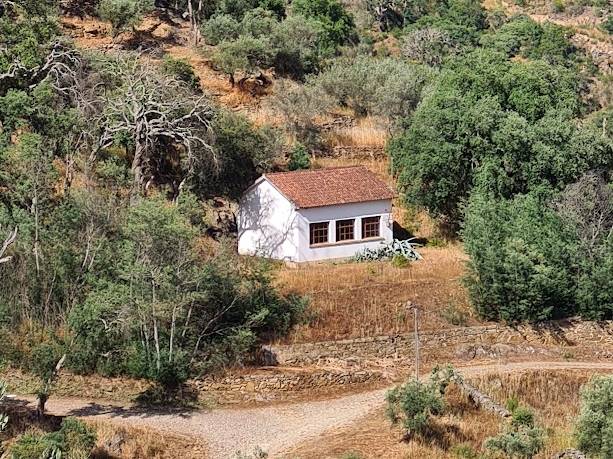Arquitetura aqui na escola: onde andou na primária?